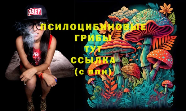 мефедрон мука Алексеевка